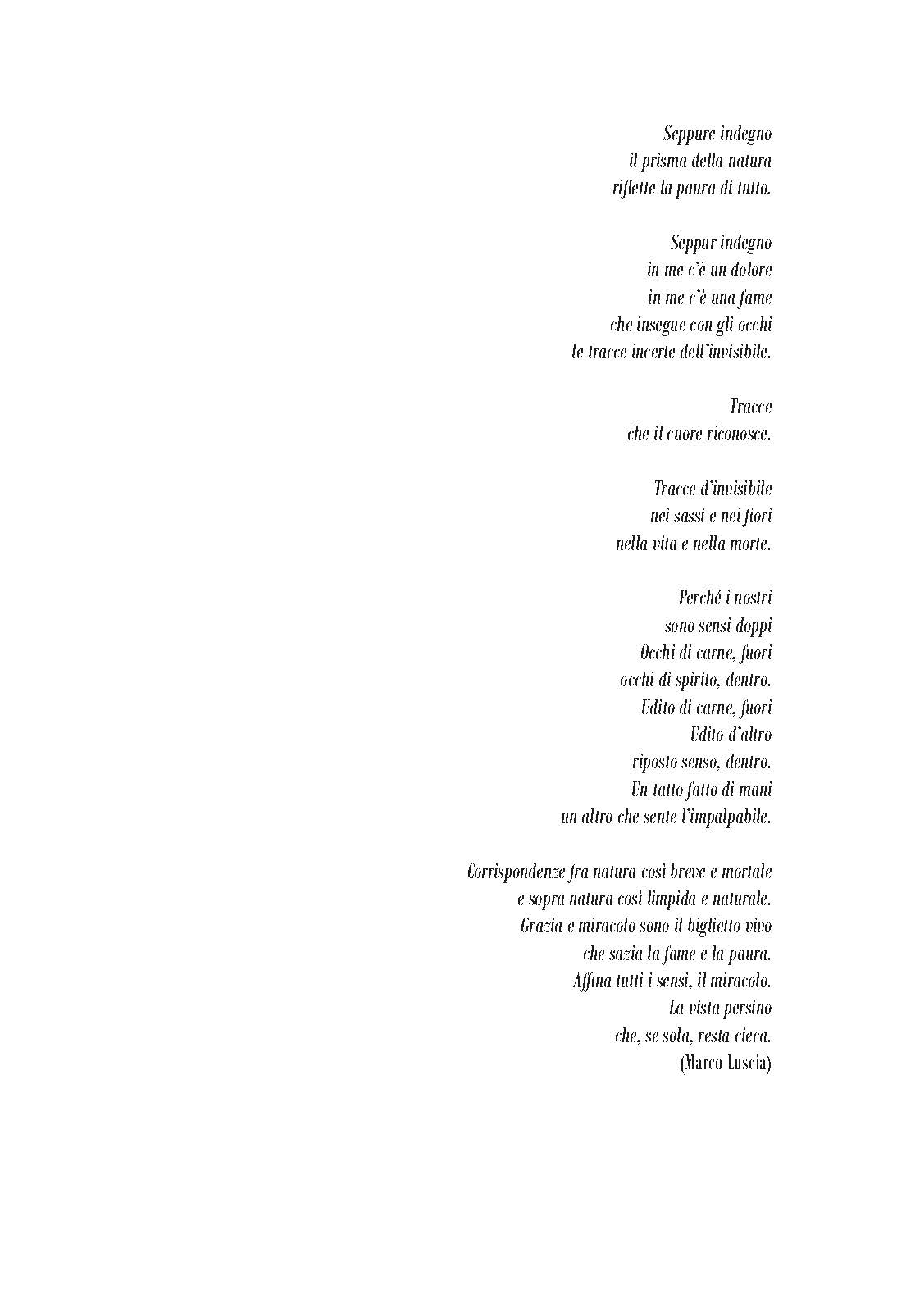 Pagine da Luscia.pdf_Pagina_23 Maledetti giovani. Tra paure e speranza